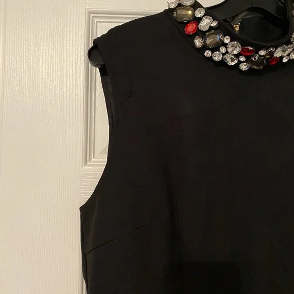 Jewelled Collar Dress - Picture 3 of 6